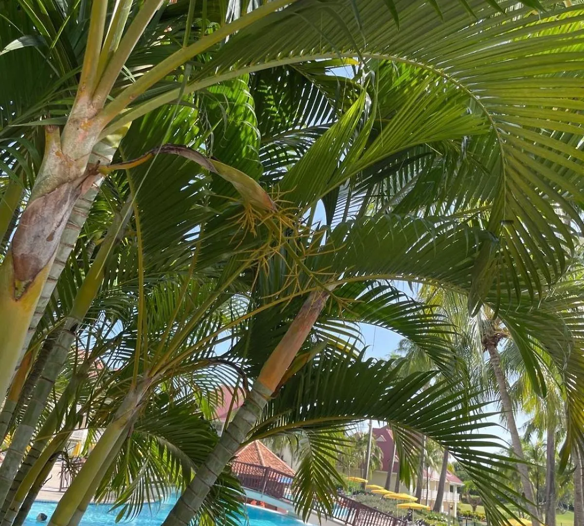Couleur Caraibes- Barbade Appartement Pierre Et Vacances Acces Plage Et Piscine Sainte-Luce 0*,