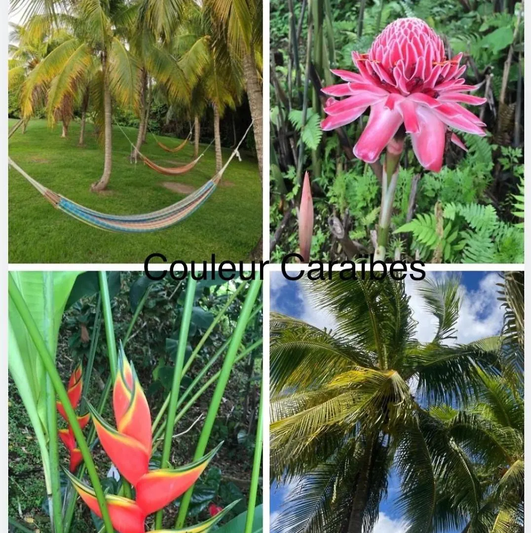 Couleur Caraibes- Barbade Appartement Pierre Et Vacances Acces Plage Et Piscine Sainte-Luce
